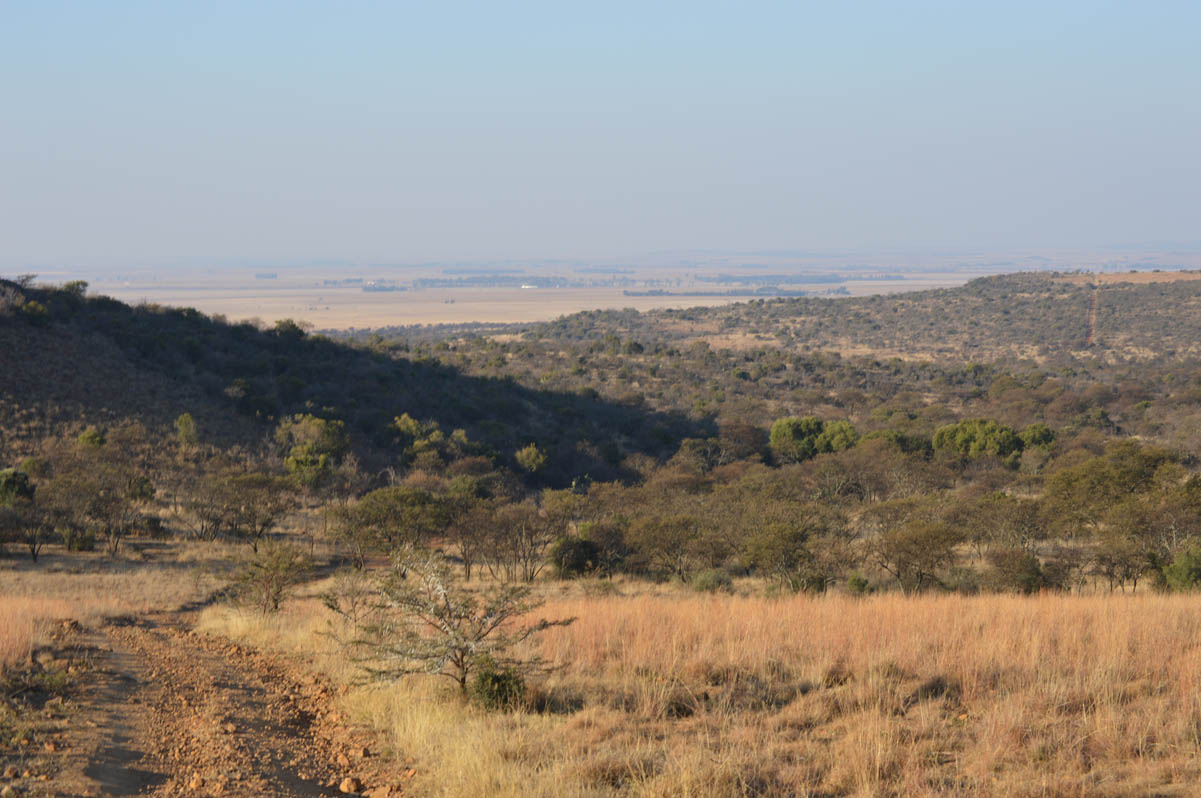 View of the Leeukop Lodge farm